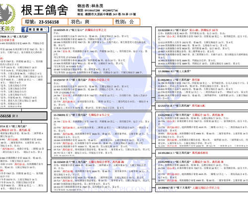 拍賣鴿之血統書